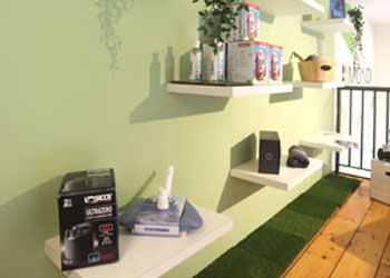 foto showroom